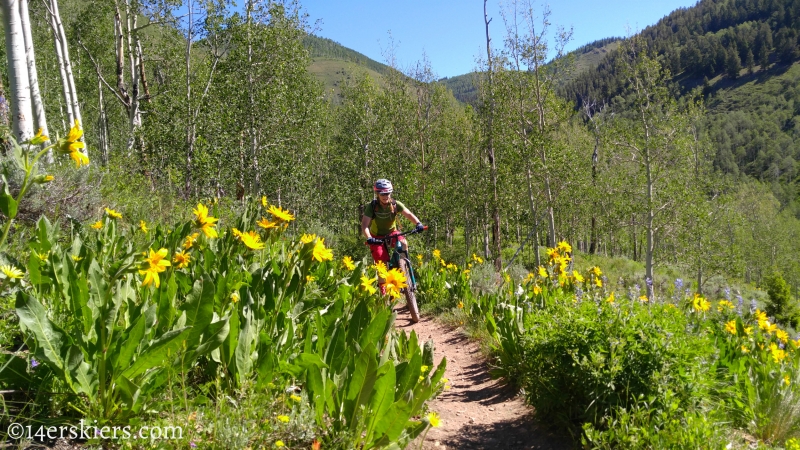 June mountain biking in Crested Butte