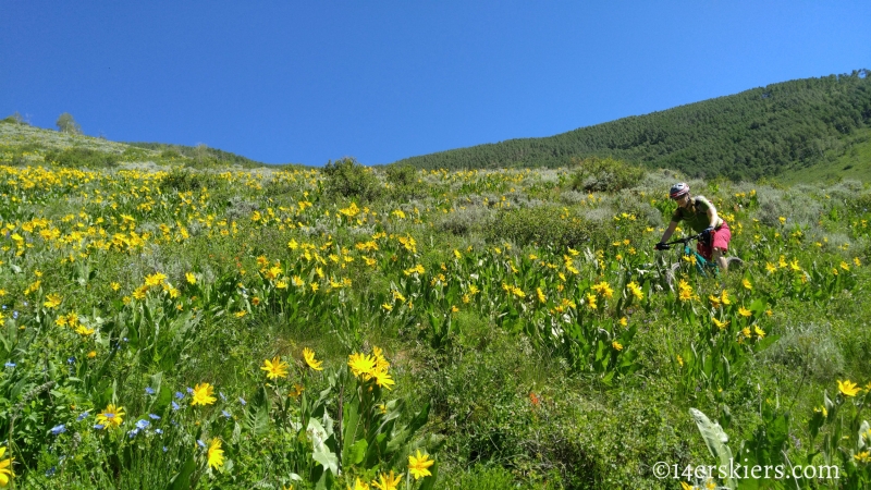 June mountain biking in Crested Butte