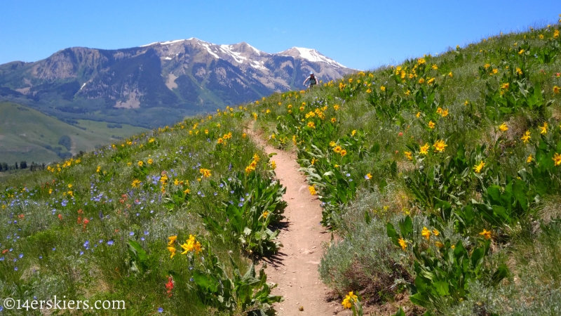 June mountain biking in Crested Butte