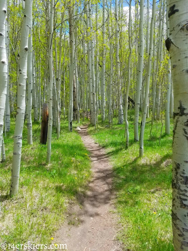 June mountain biking in Crested Butte