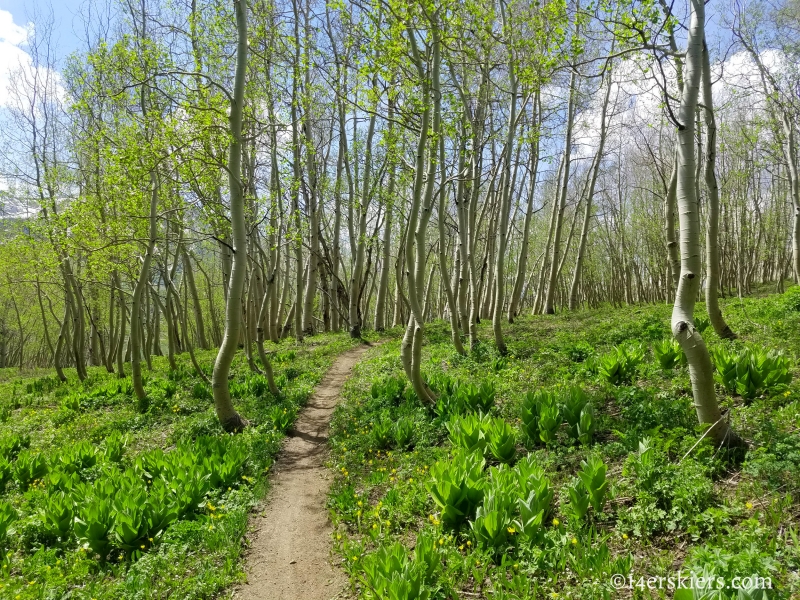 June mountain biking in Crested Butte