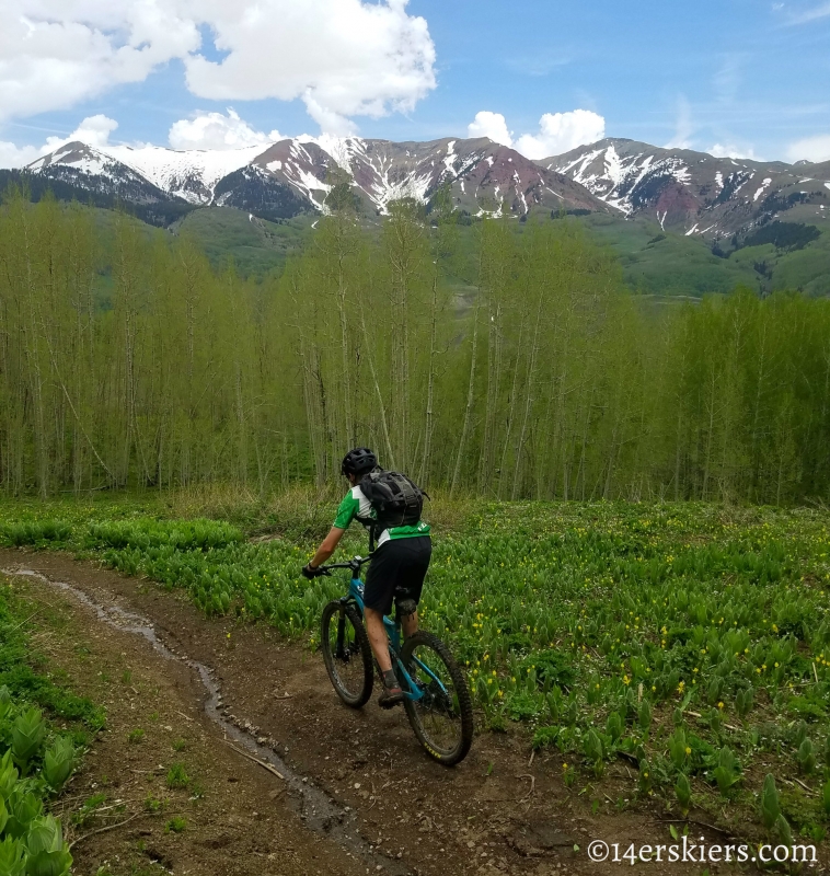 June mountain biking in Crested Butte