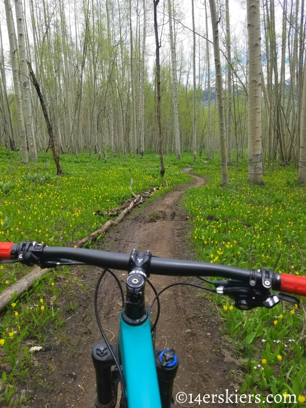 June mountain biking in Crested Butte