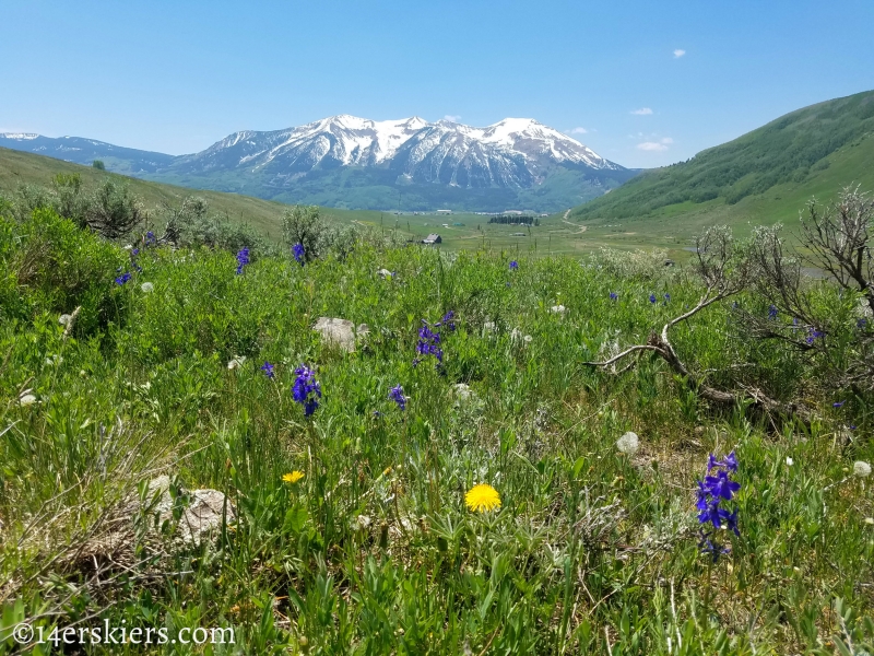 June mountain biking in Crested Butte