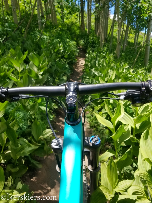 June mountain biking in Crested Butte