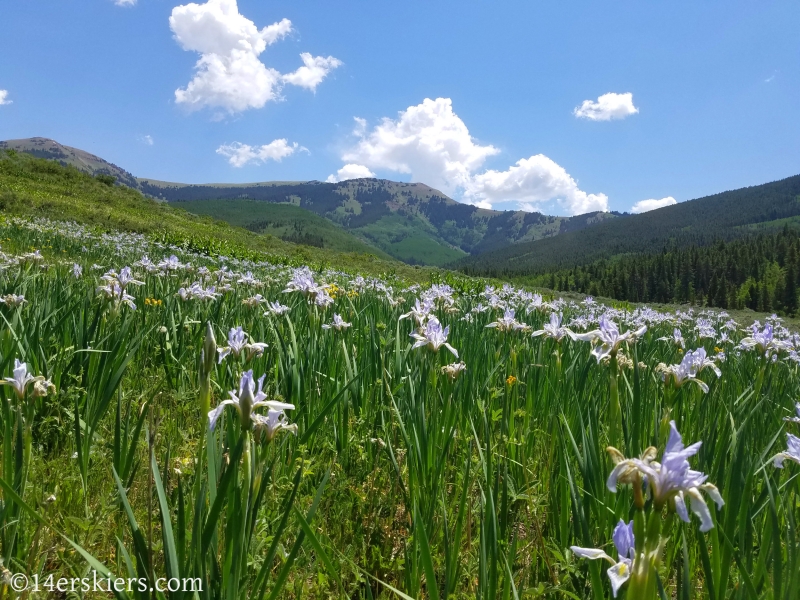 June mountain biking in Crested Butte