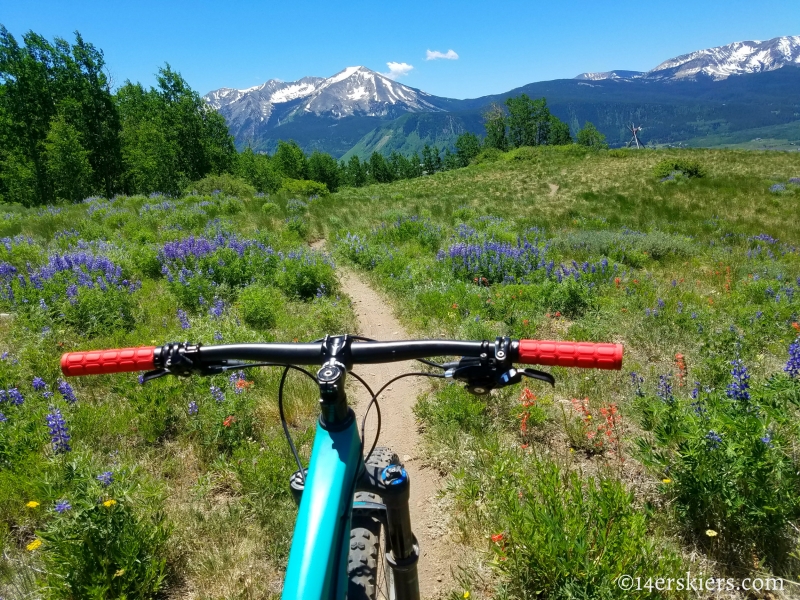 June mountain biking in Crested Butte