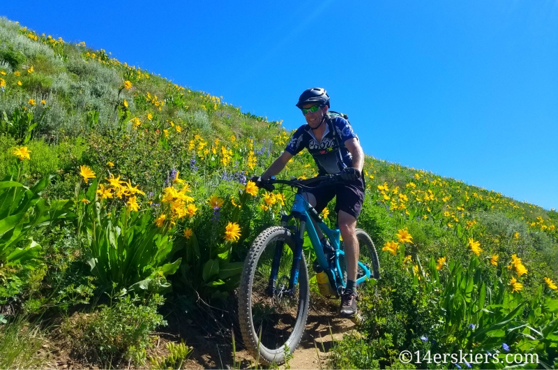 June mountain biking in Crested Butte