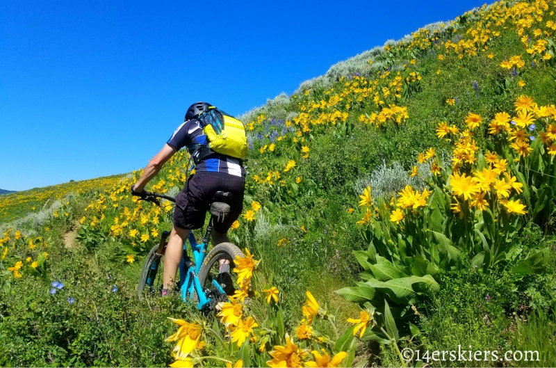 June mountain biking in Crested Butte