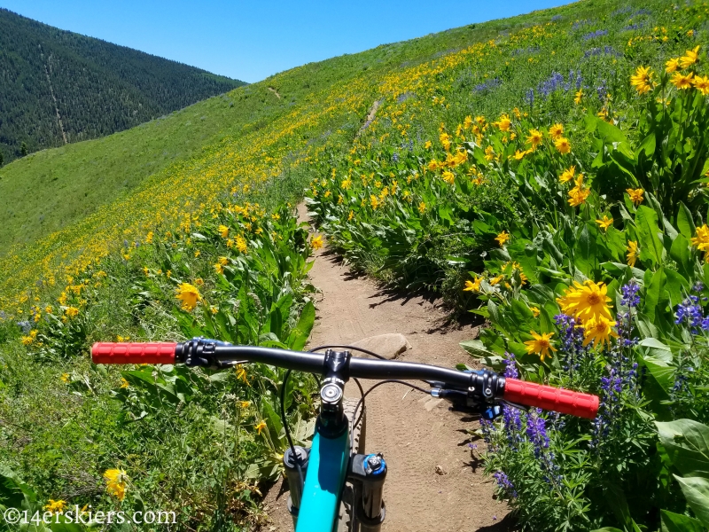 June mountain biking in Crested Butte