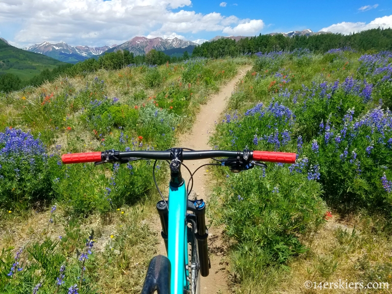 June mountain biking in Crested Butte