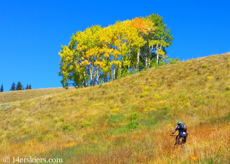 Frank Konsella mountain biking Point Lookout Trail near Crested Butte.