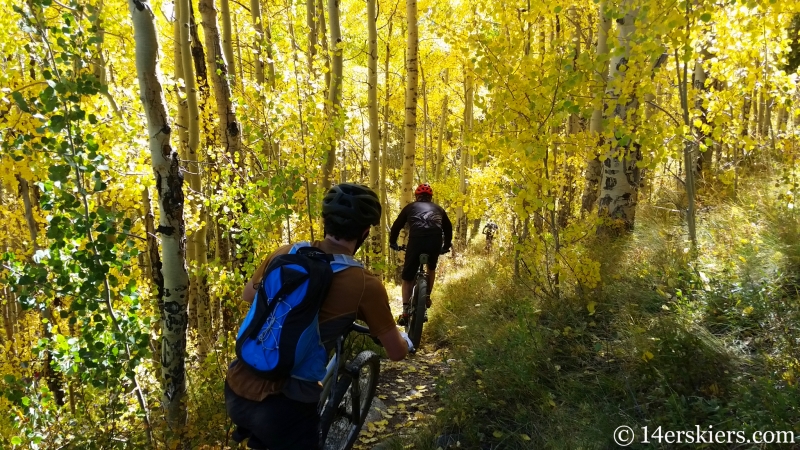 Fall mountain biking in Crested Butte