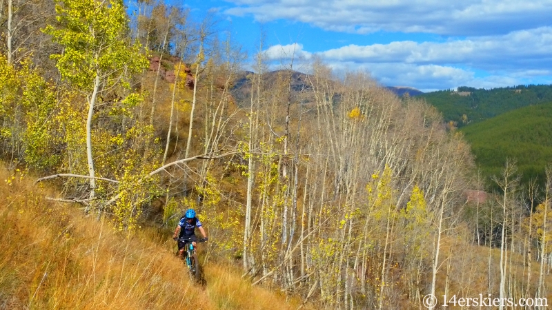 Frank Konsella mountain biking Waterfall Cutoff near Crested Butte.