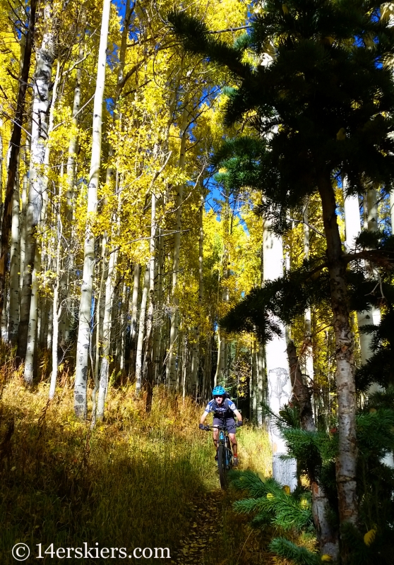 Frank Konsella mountain biking Waterfall Cutoff near Crested Butte.