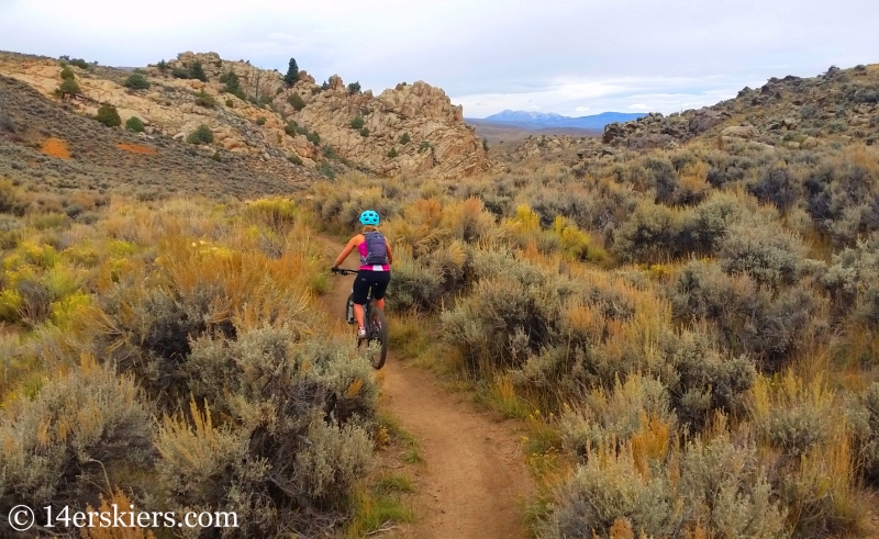 Alex Riedman mountain biking Hartman Rocks near Gunnison, CO.