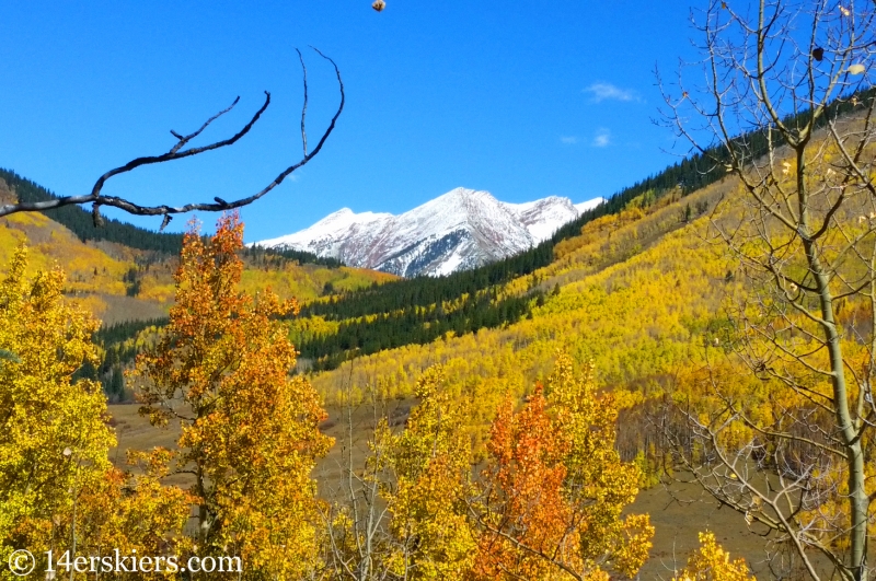 fall colors on Avery Peak in Crested Butte.