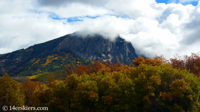 Marcellina in fall colors