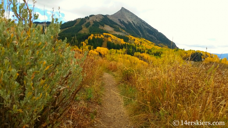 fall colors in Crested Butte