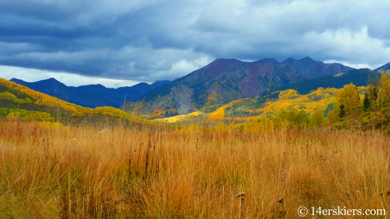 fall colors in Crested Butte