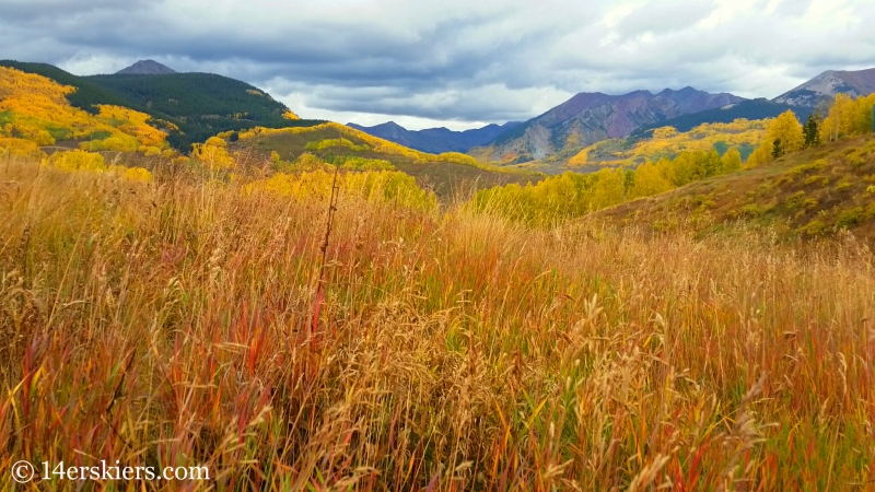 fall colors in Crested Butte