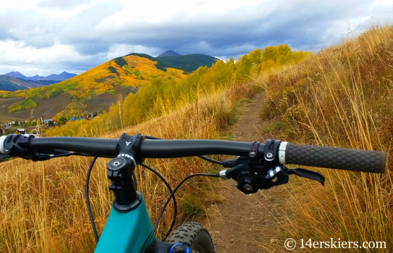 fall colors in Crested Butte
