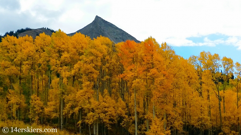 fall colors in Crested Butte