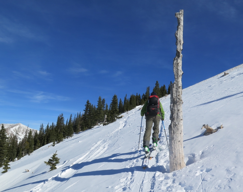 backcountry near Monarch Pass