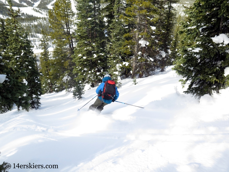 monarch tree skiing