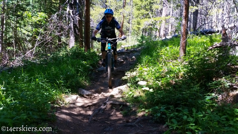 Frank Konsella mountain biking Greens Creek Trail near Monarch Pass.
