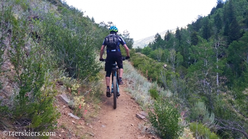 Frank Konsella mountain biking Greens Creek Trail near Monarch Pass.