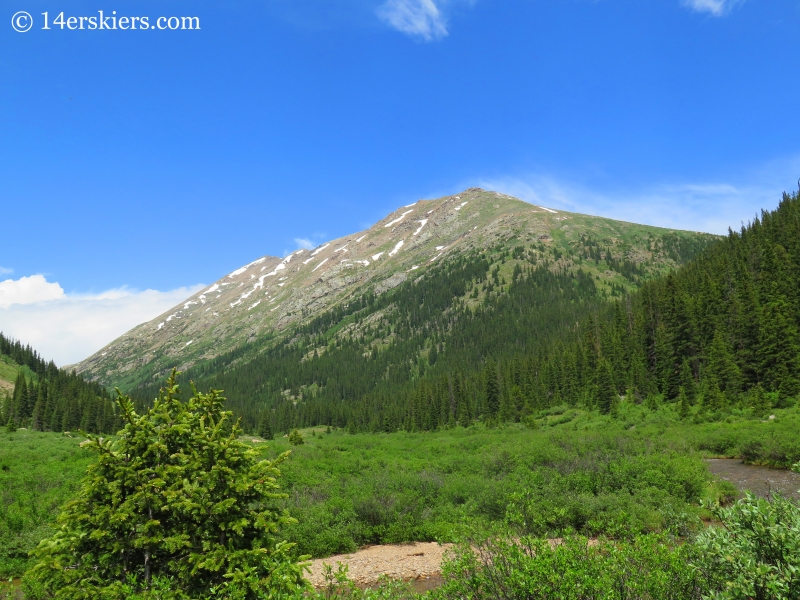 Mount Champion from Independence Pass road.  