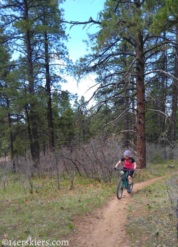 Mountain Biking 101 - Boggy Draw near Dolores, CO