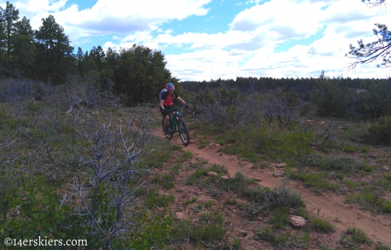 Mountain Biking 101 - Boggy Draw near Dolores, CO