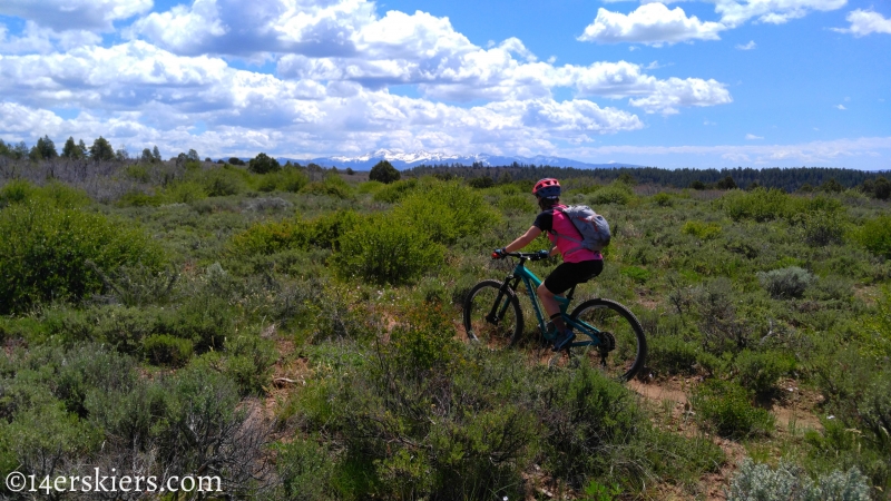 Mountain Biking 101 - Boggy Draw near Dolores, CO