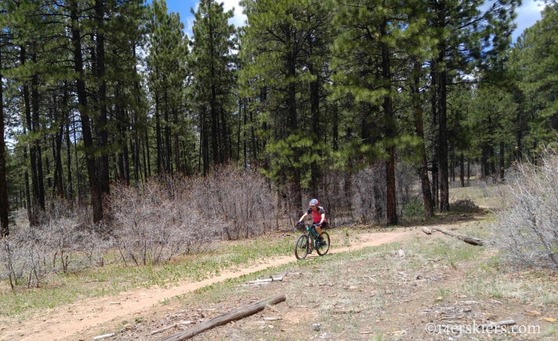 Mountain Biking 101 - Boggy Draw near Dolores, CO