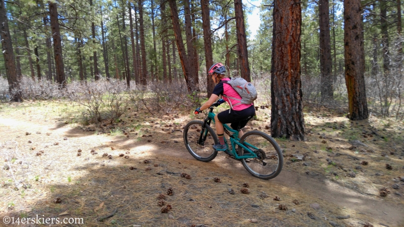 Mountain Biking 101 - Boggy Draw near Dolores, CO