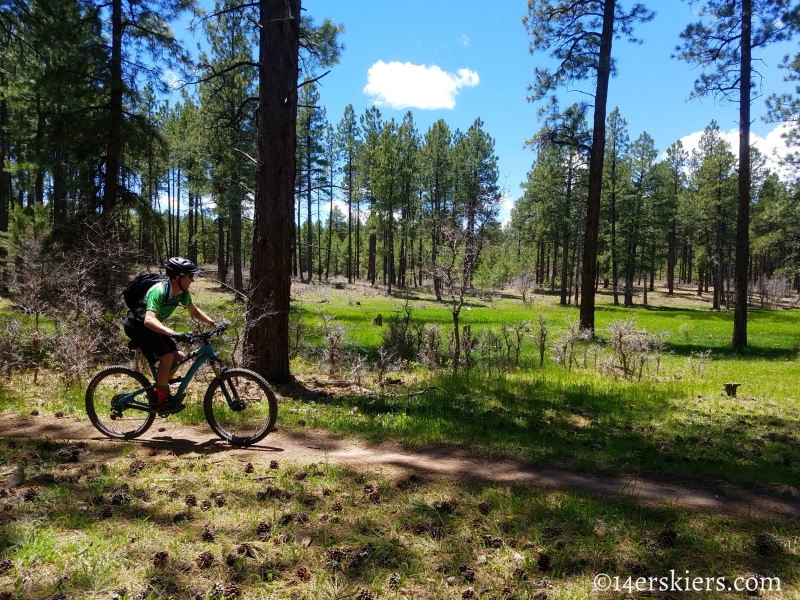 Mountain Biking 101 - Boggy Draw near Dolores, CO