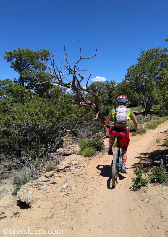 Mountain Biking 101:  Phil's World near Cortez, CO.