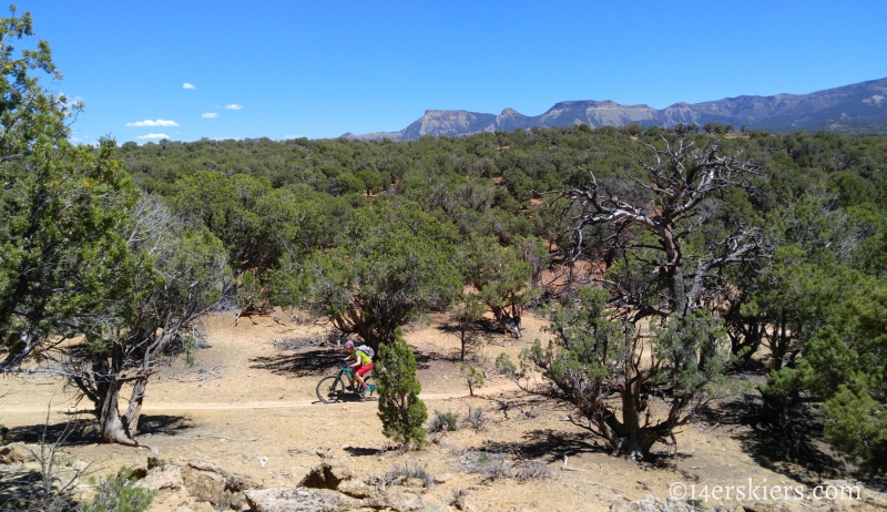 Mountain Biking 101:  Phil's World near Cortez, CO.