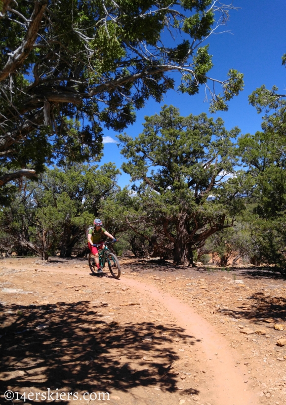 Mountain Biking 101:  Phil's World near Cortez, CO.