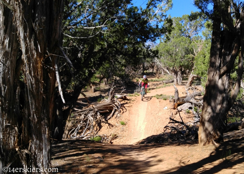 Mountain Biking 101:  Phil's World near Cortez, CO.