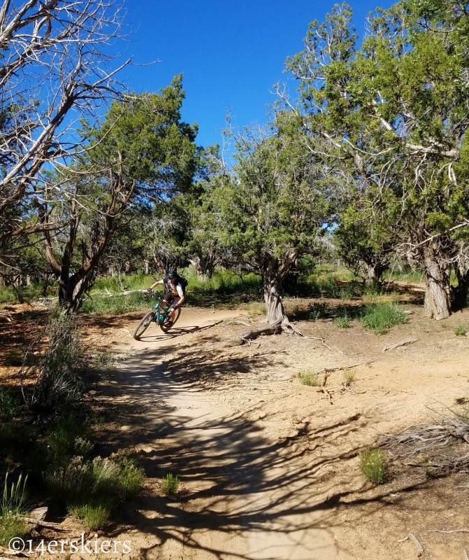 Mountain Biking 101:  Phil's World near Cortez, CO.