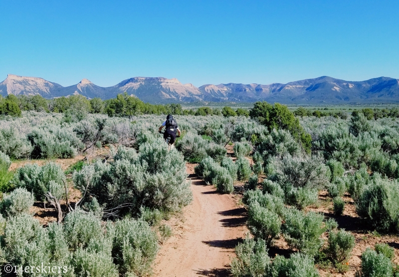 Mountain Biking 101:  Phil's World near Cortez, CO.