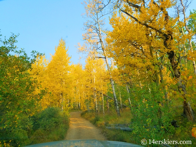 Mountain biking mount elbert