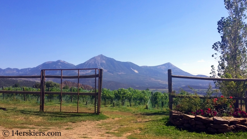 Stone Cottage Winery near Paonia, CO.