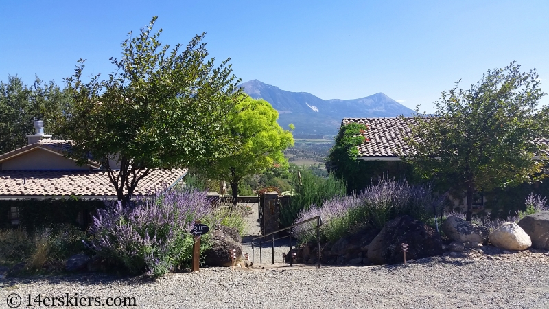 Azura Winery near Paonia, CO.