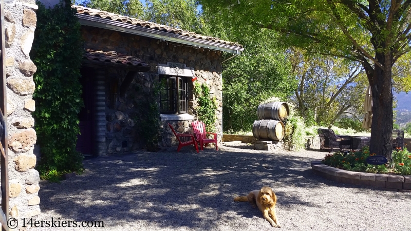 Azura Winery near Paonia, CO.