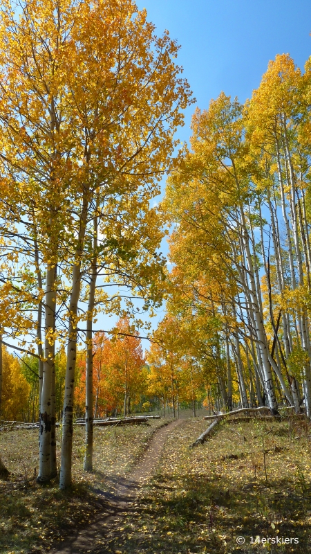 Pass Creek hike near Crested Butte, CO