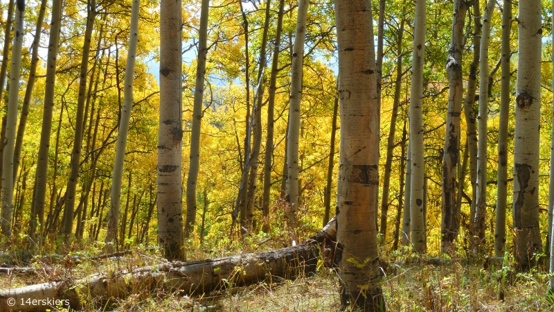 Pass Creek hike near Crested Butte, CO